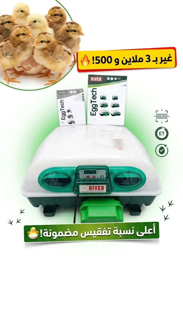 فقاسة ايطالية الأصلية RIVER ET49 حجم 49بيضة ابدأ الاحترافية من أول تفقيسة