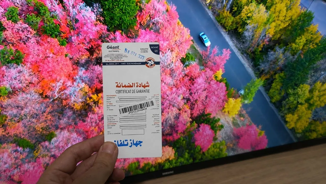 Télévision  43P Simple Marque Géant
