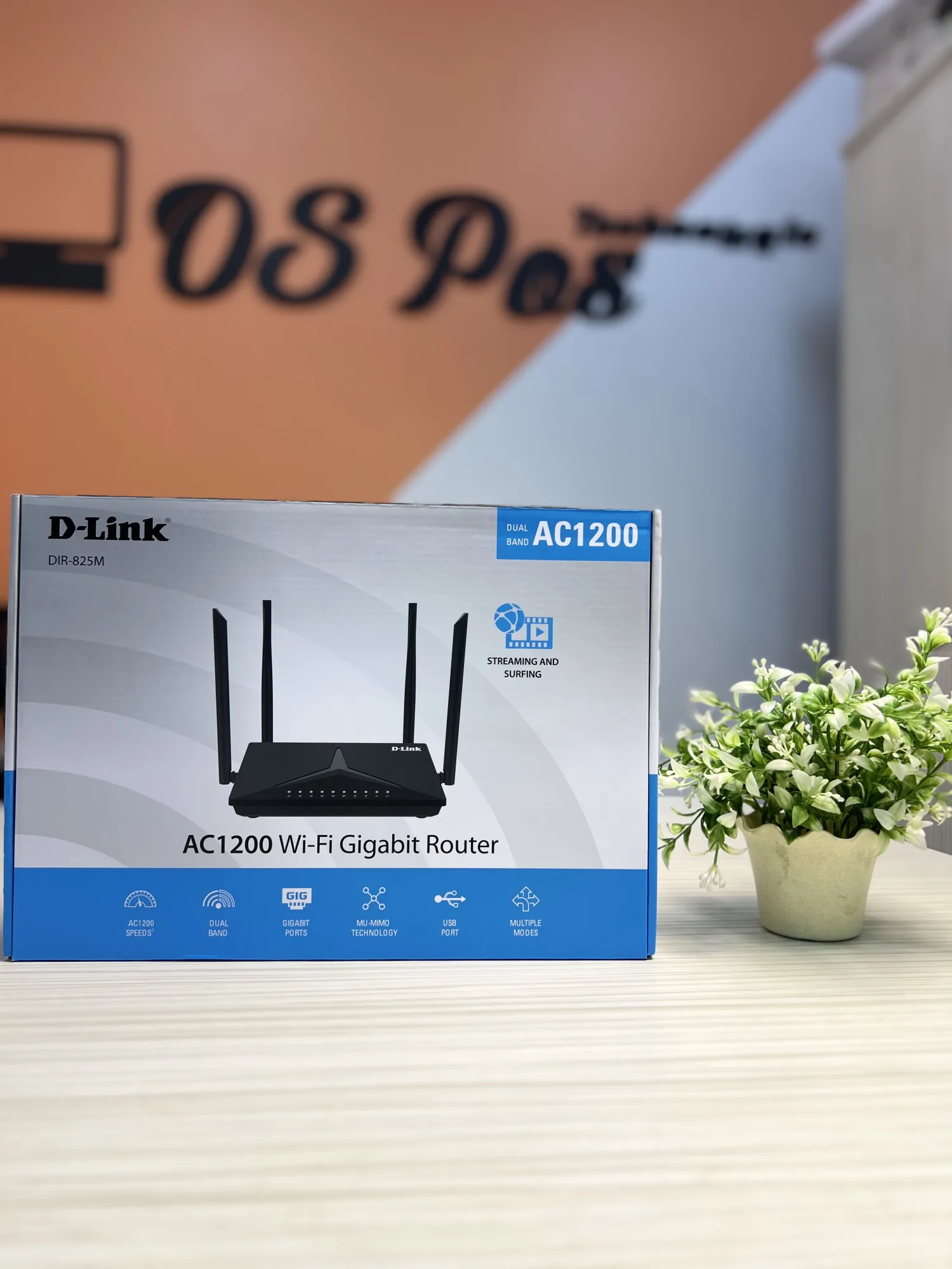 D-Link AC1200 (DIR-825M)