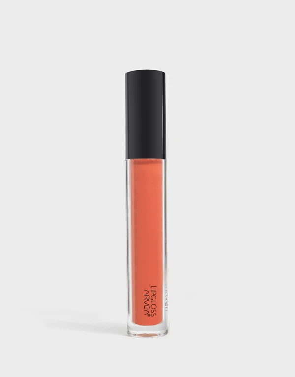 Lipgloss MAT N5 ملمع شفاه سائل مطفي