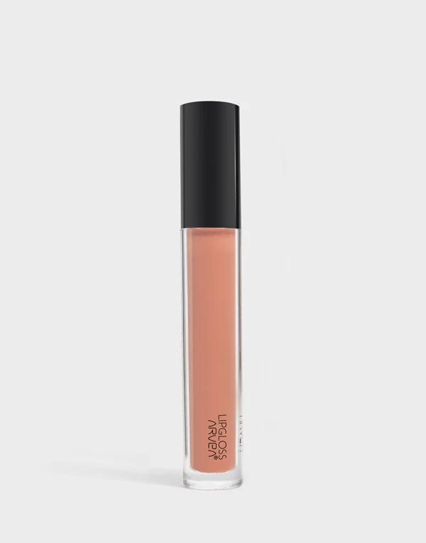 Lipgloss Brillant N3 ملمع شفاه
