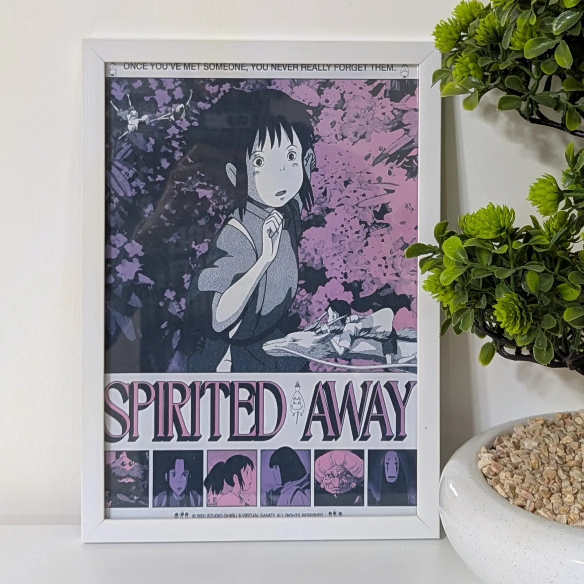Cadre Spirited away