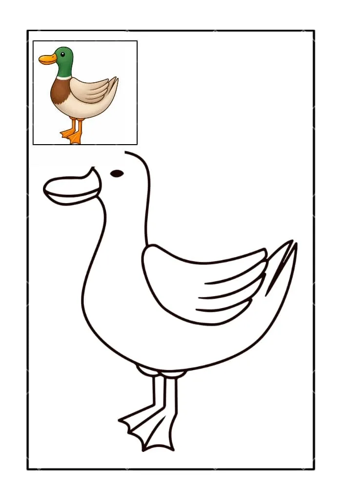 كتاب تلوين إلكتروني