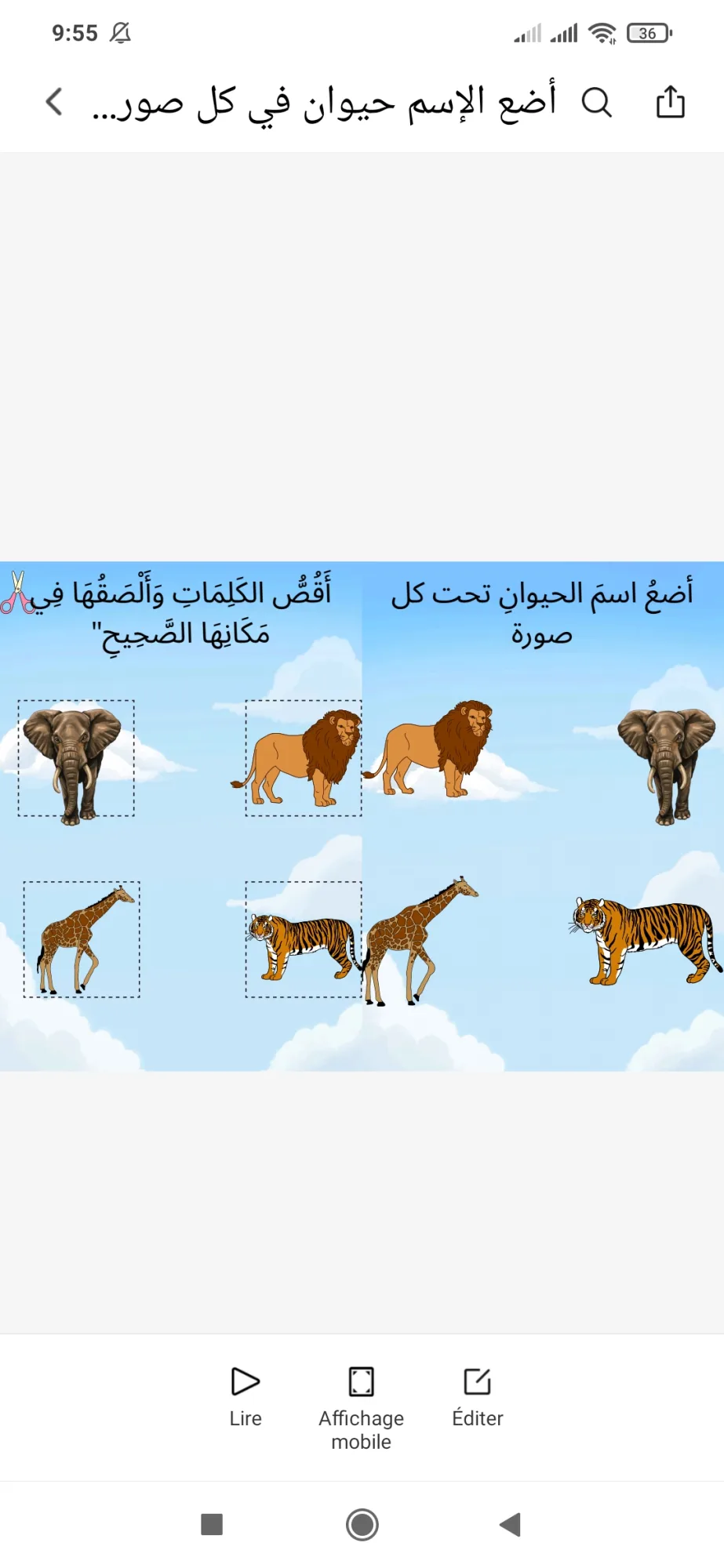 أضع الإسم الحيوان في كل صورة