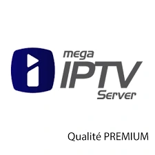 Mega ott