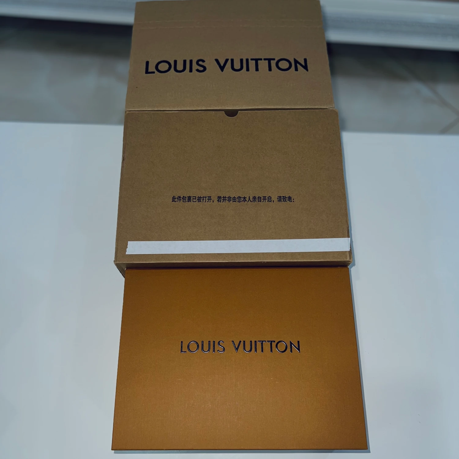 Sac LV Mirror – Édition Premium