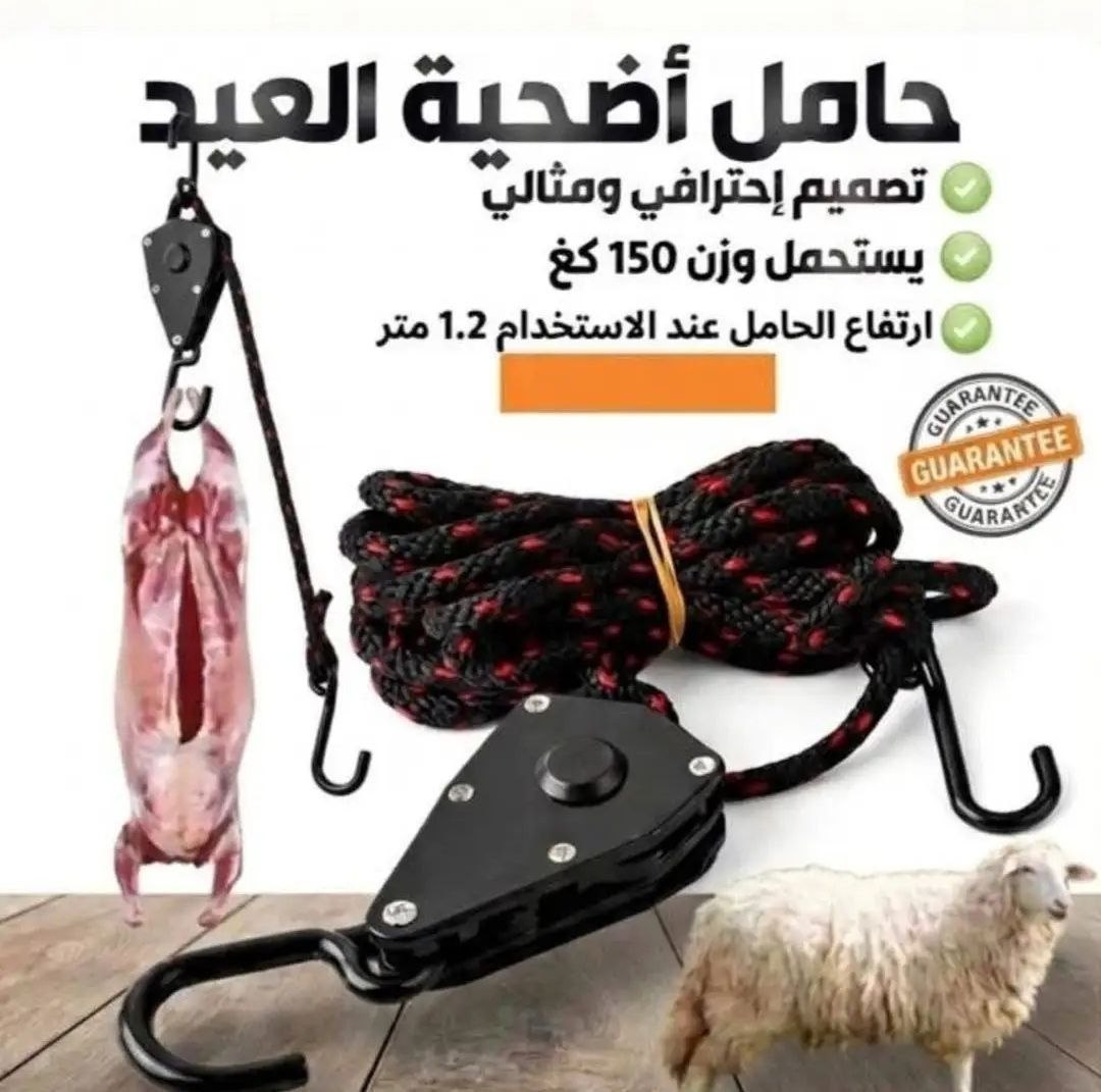 حامل اضحية العيد