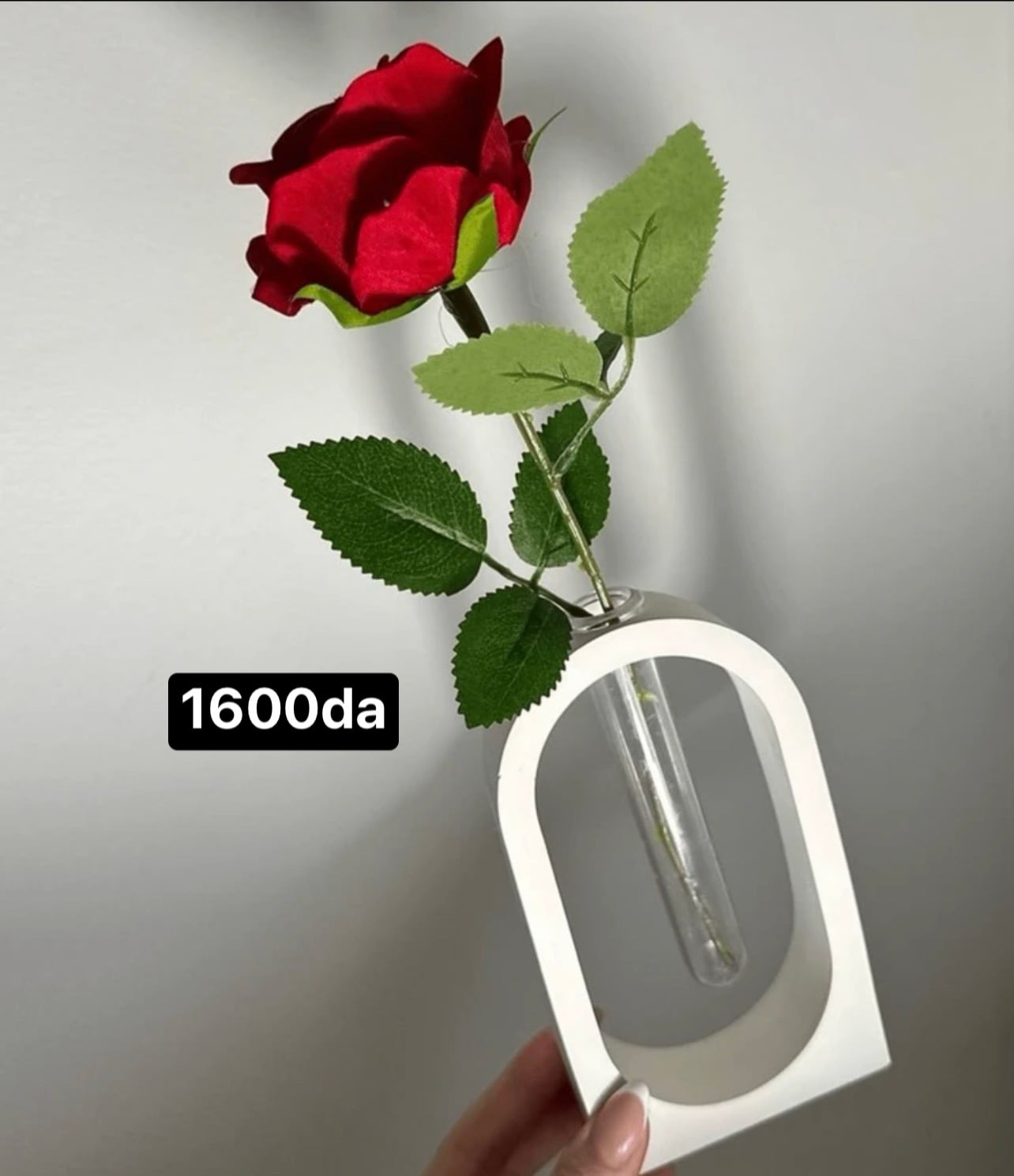 1 فاز مقوس
