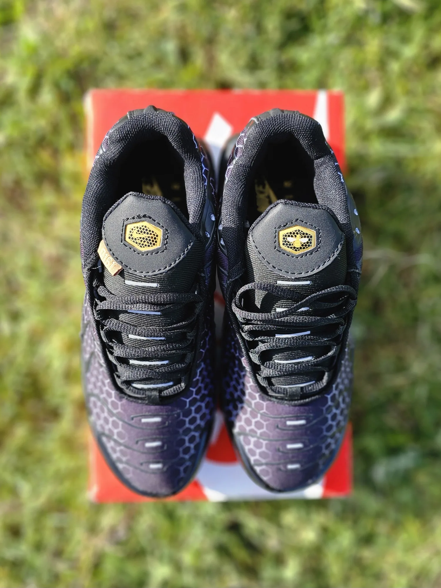 Nike Air Max Plus TN (Honeycomb)