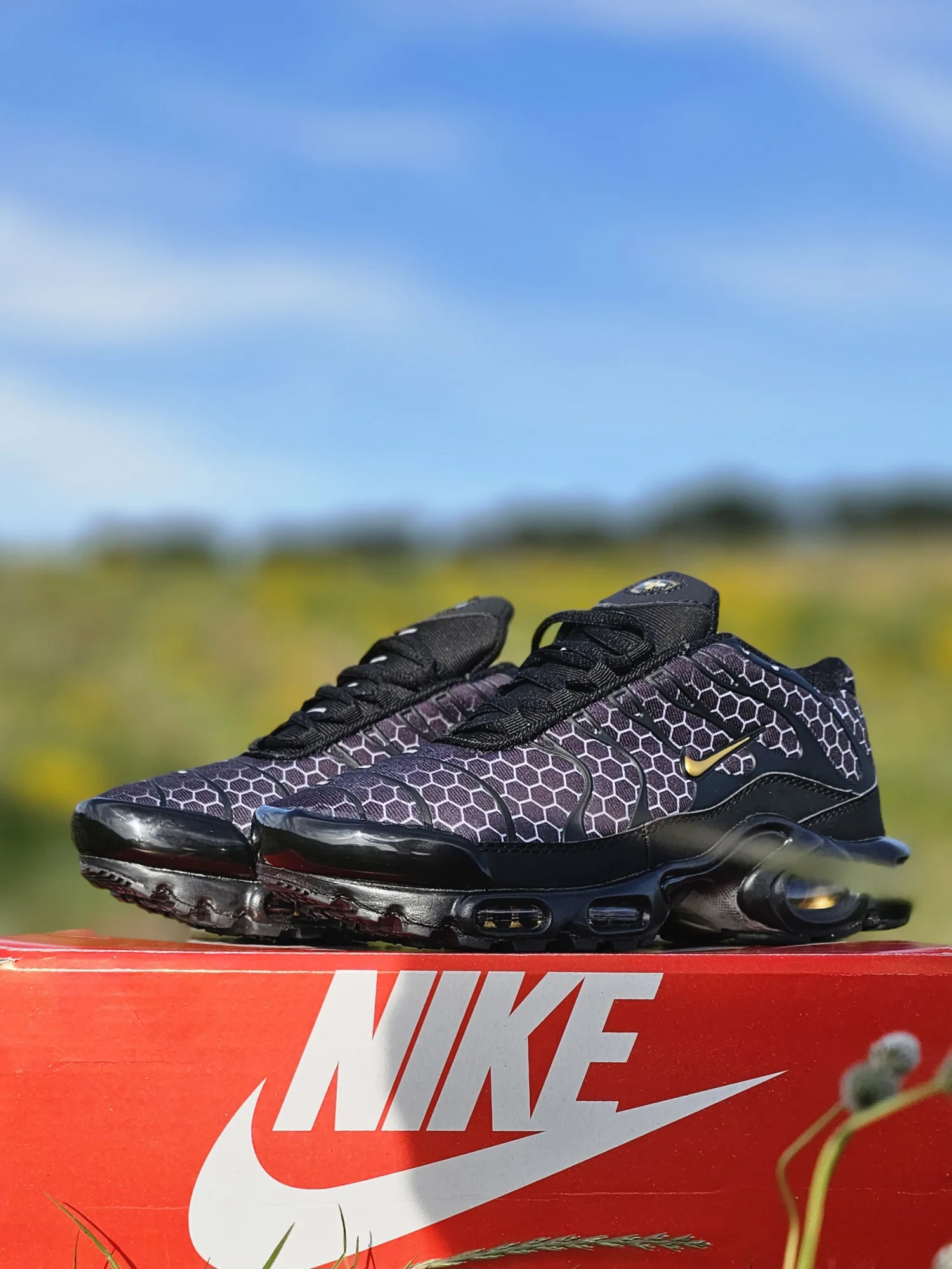 Nike Air Max Plus TN (Honeycomb)