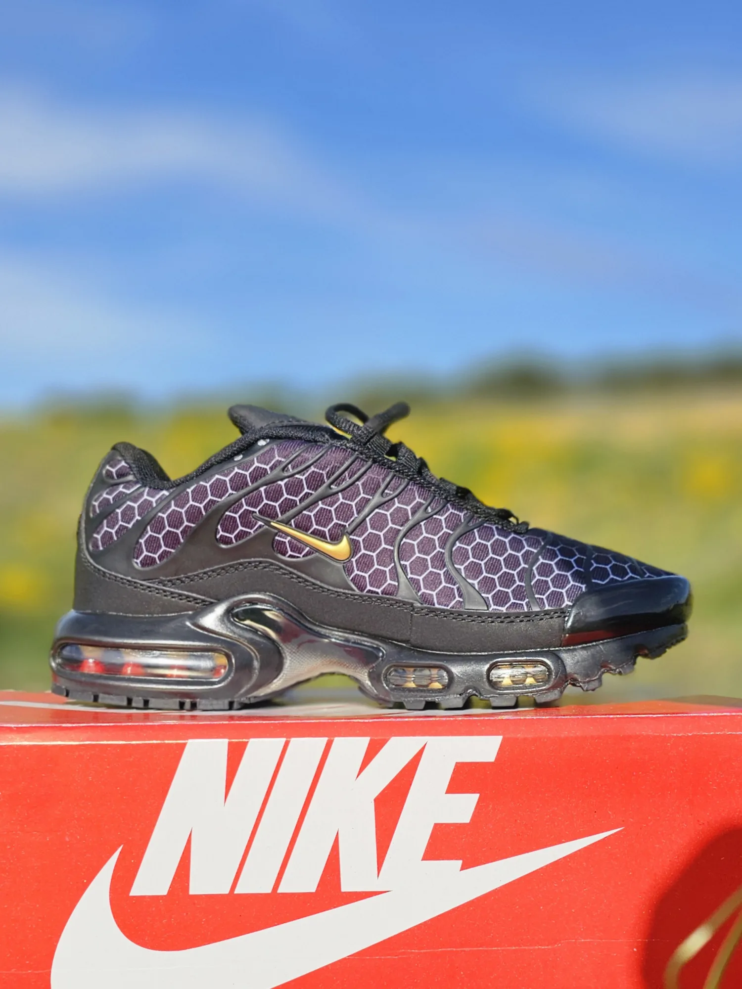 Nike Air Max Plus TN (Honeycomb)
