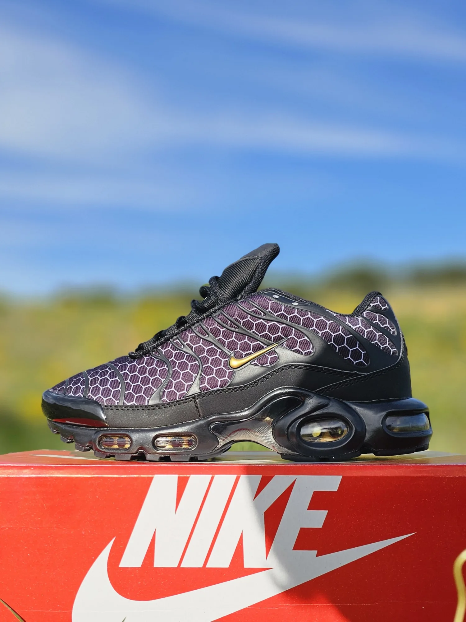 Nike Air Max Plus TN (Honeycomb)