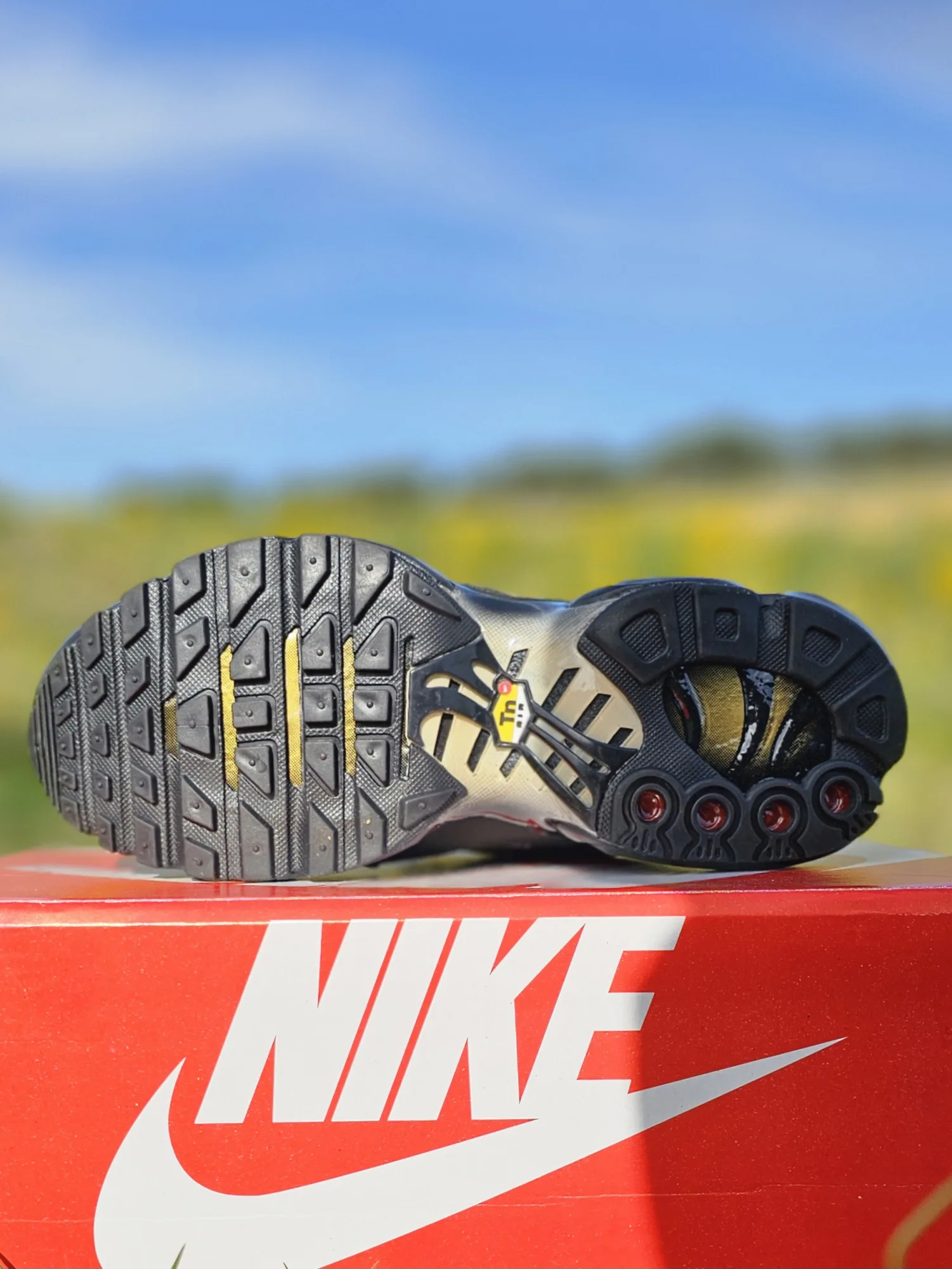 Nike Air Max Plus TN (Honeycomb)