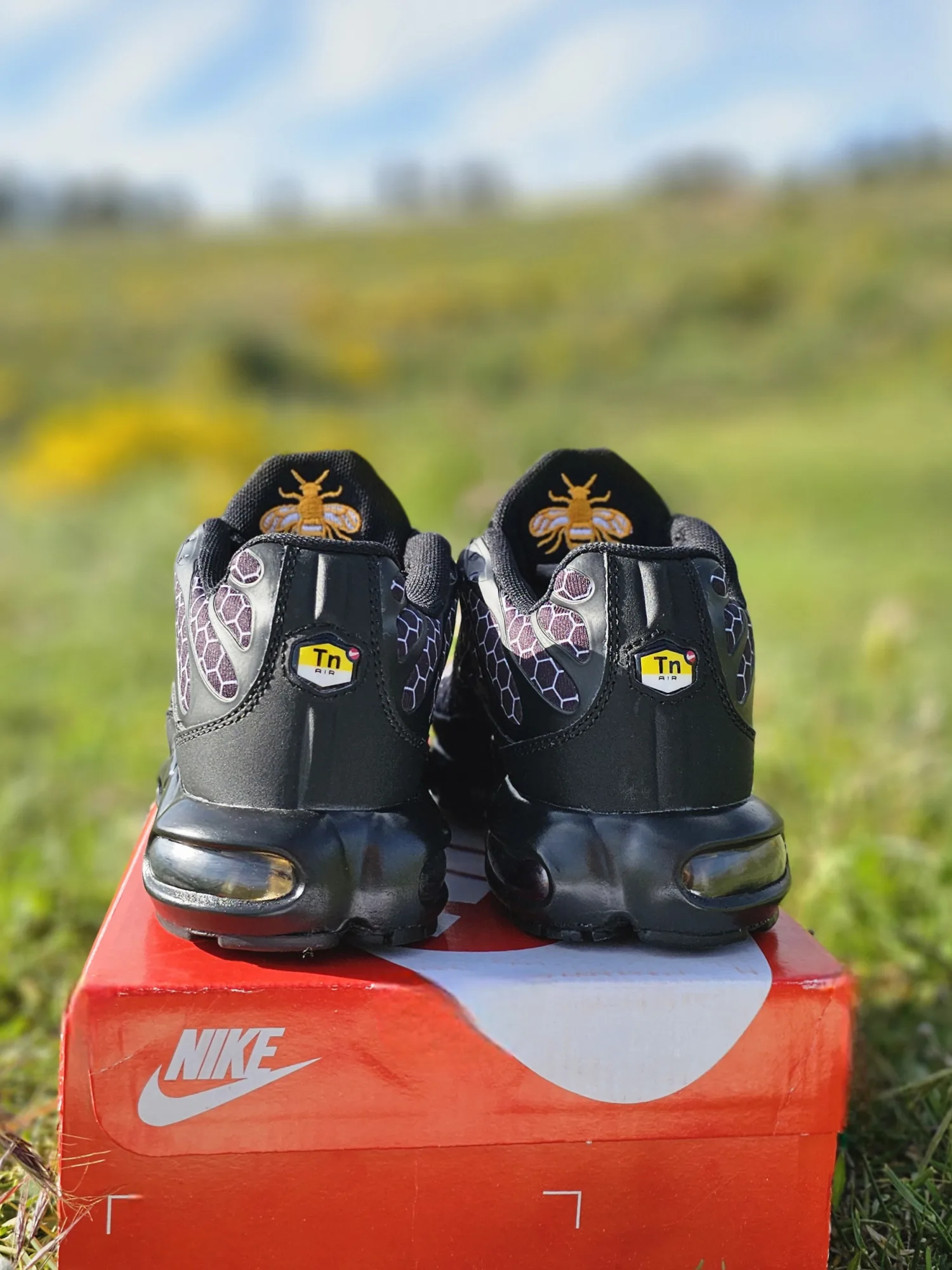 Nike Air Max Plus TN (Honeycomb)