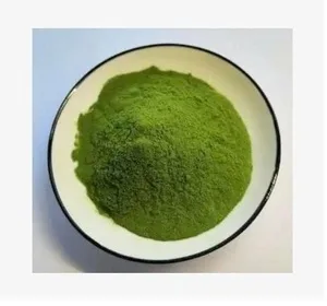 طحالب خضراء